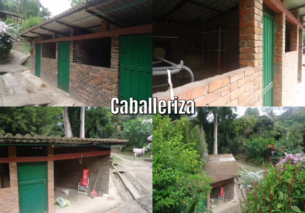 la vega (2)