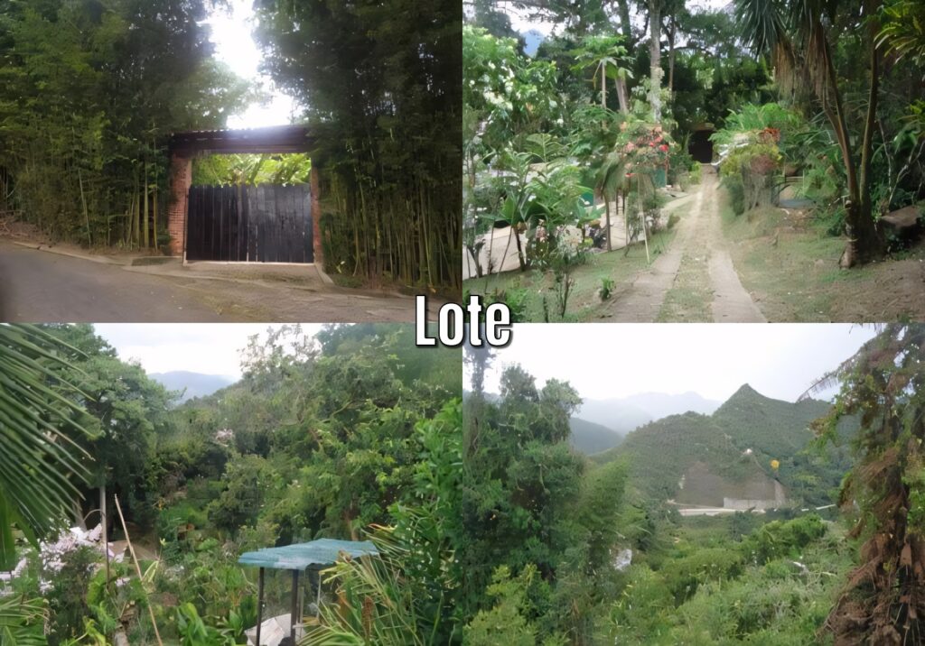 la vega (3)