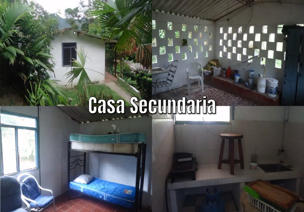 la vega (4)