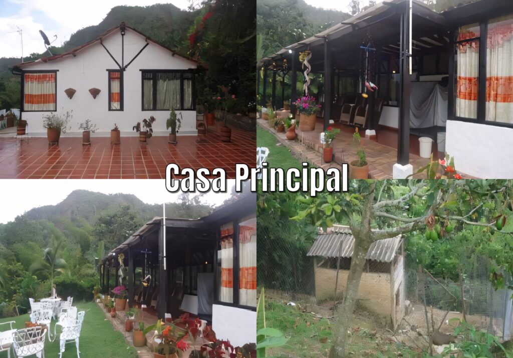 la vega (8)